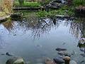 2009-0117_1320_Pond_9,8C